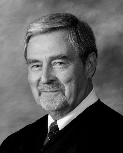 Bruiniers District Courts of Appeal